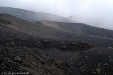 Sizilien (416 von 565).jpg